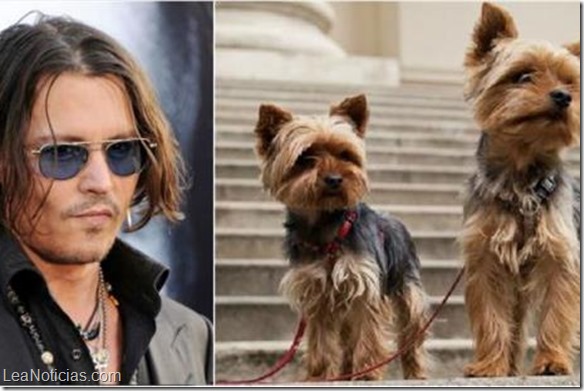 Australia por poco sacrifica los perros de Johnny Depp